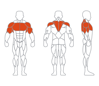 LS-021跪式单双杠训练器