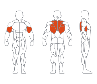 GL-7080坐式双位拉背练习器(白银) GL-7080坐式双位拉背练习器(白银)